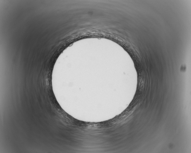 X0000116821490201001151153