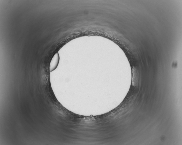 X0000116821491201001151153