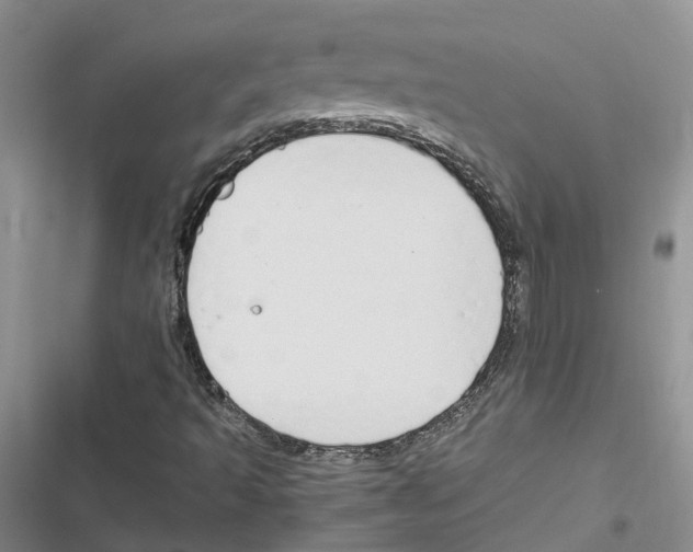 X0000116821493201001151153