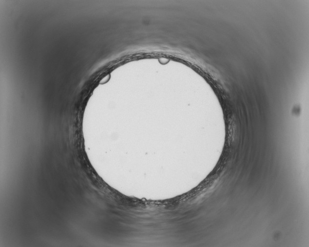 X0000116821494201001151153