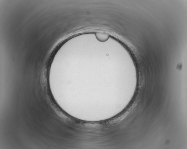 X0000116821498201001151154