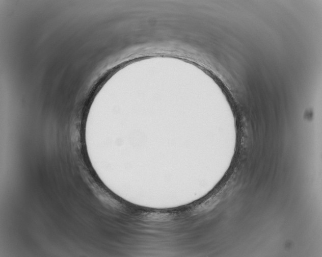 X0000116821499201001151154