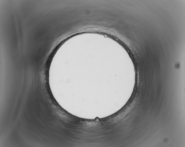 X0000116821501201001151154