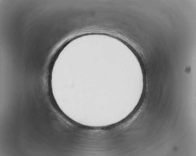 X0000116821502201001151154