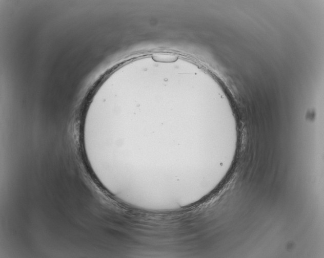 X0000116821503201001151154