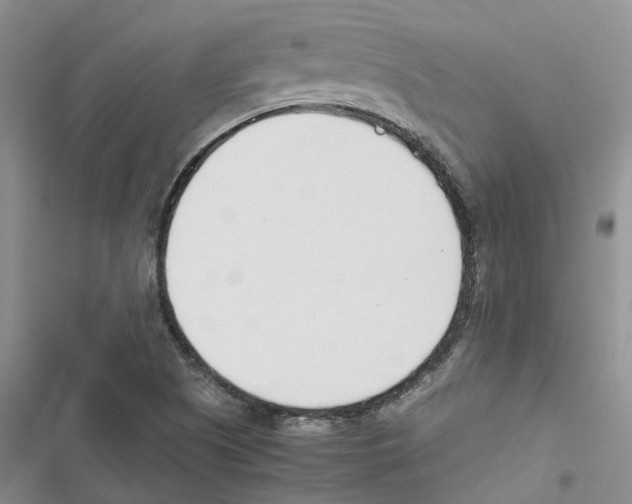 X0000116821505201001151154