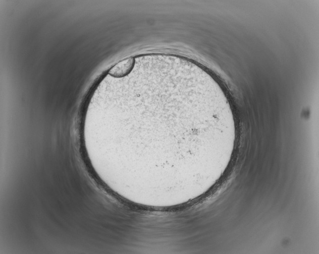 X0000116821506201001151154