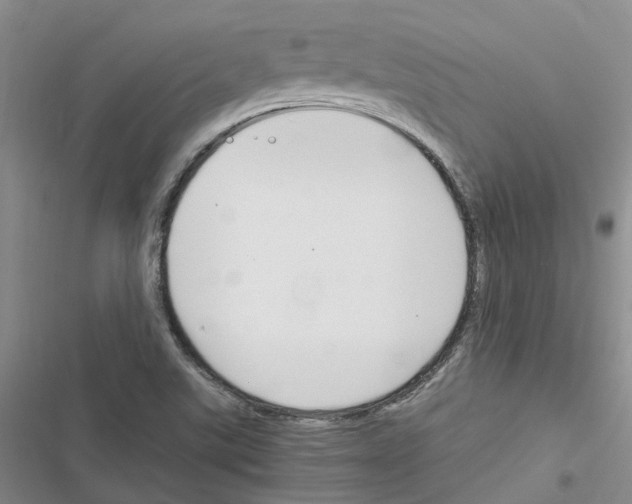 X0000116821507201001151154