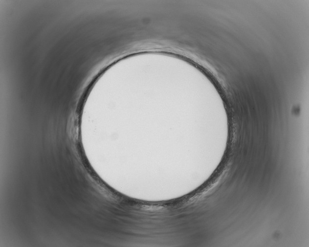 X0000116821509201001151154