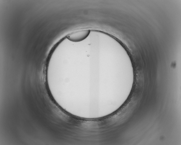 X0000116821510201001151154