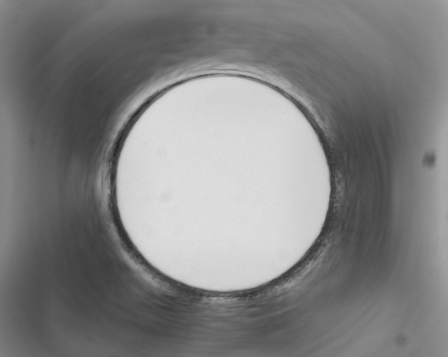 X0000116821511201001151154