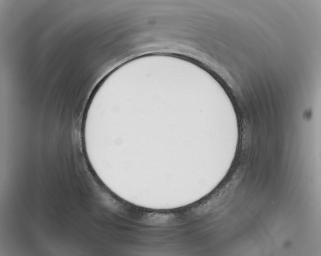 X0000116821513201001151154