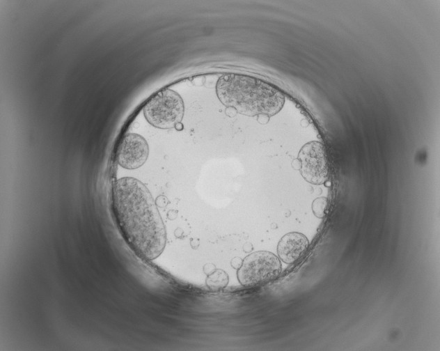 X0000116821514201001151154