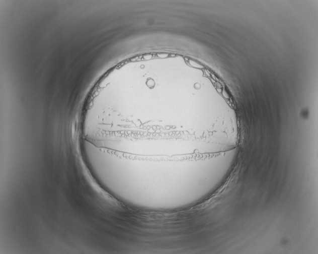 X0000116821515201001151154