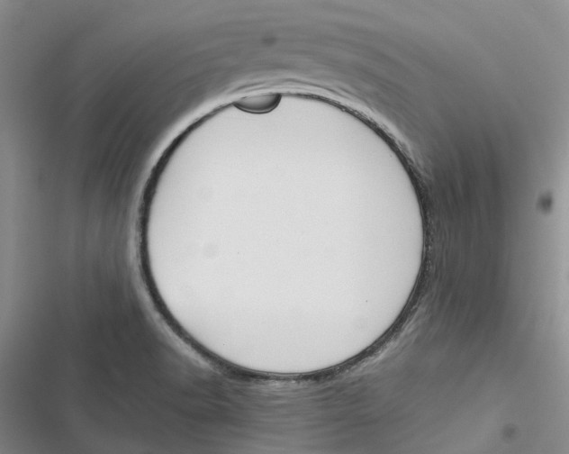 X0000116821518201001151154