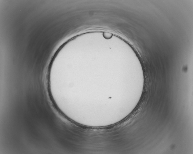 X0000116821519201001151154