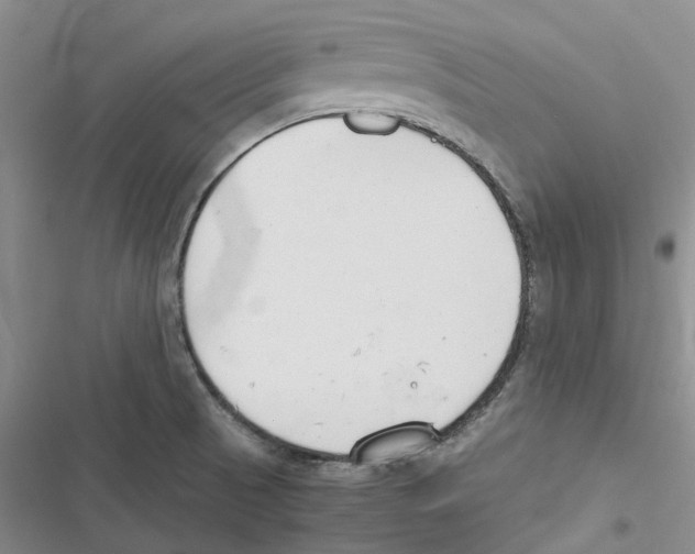 X0000116821521201001151154