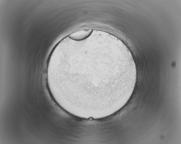 X0000116821522201001151154