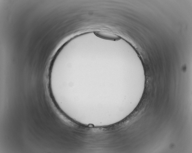 X0000116821523201001151154