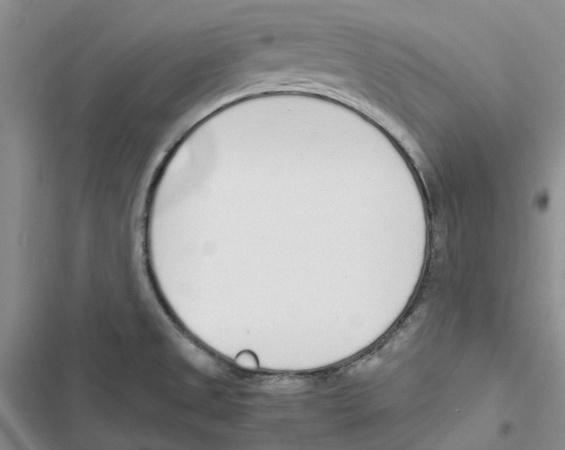 X0000116821525201001151154