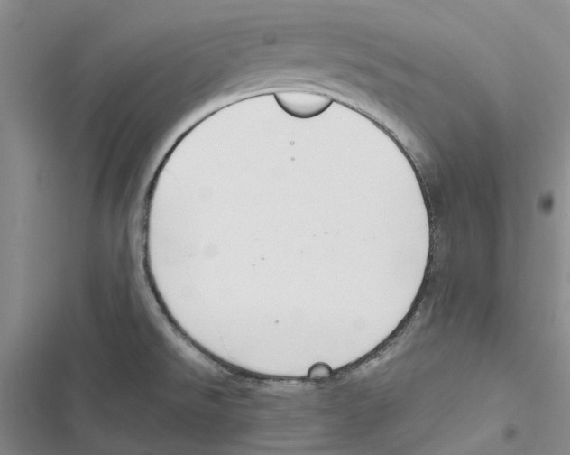 X0000116821526201001151154