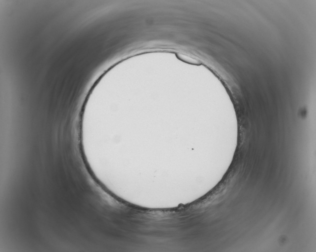 X0000116821527201001151154