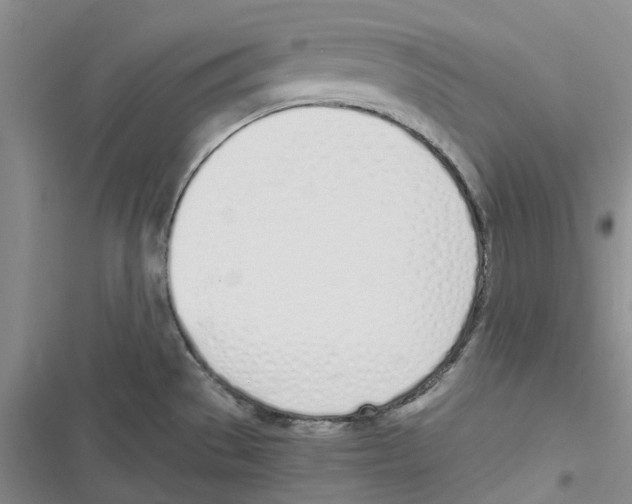 X0000116821529201001151154