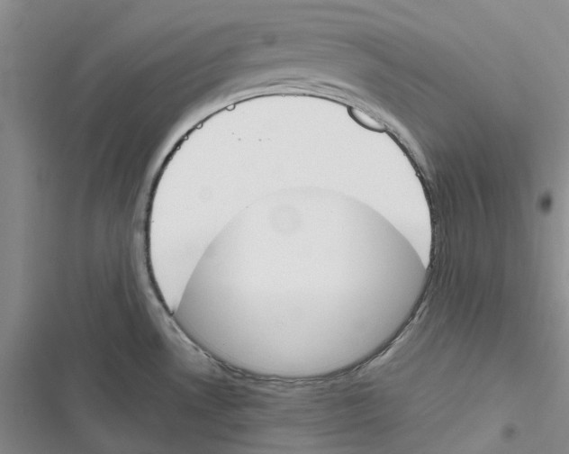 X0000116821530201001151154