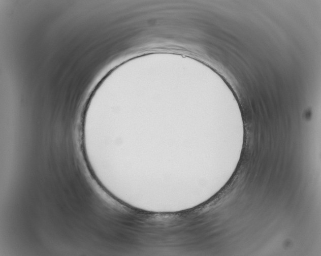 X0000116821531201001151154