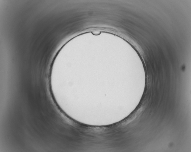 X0000116821533201001151154