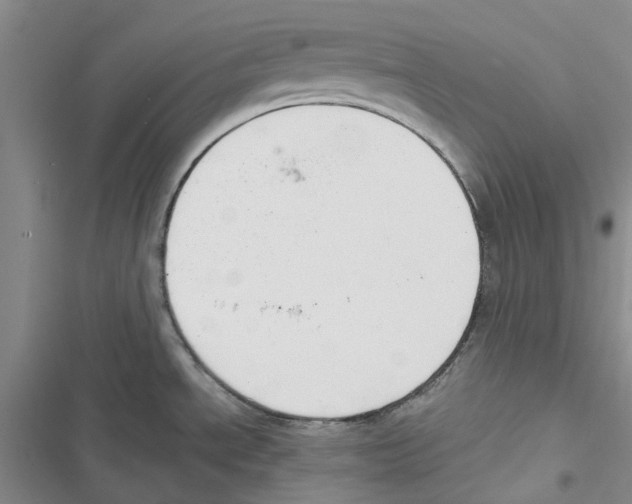 X0000116821534201001151154