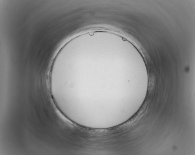 X0000116821535201001151154