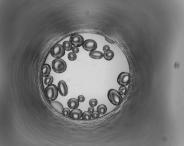 X0000116820001201001291632