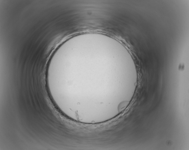 X0000116820002201001291632