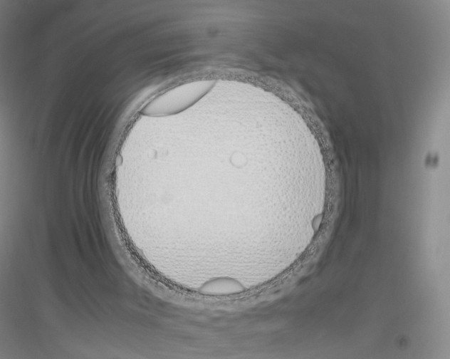 X0000116820003201001291632