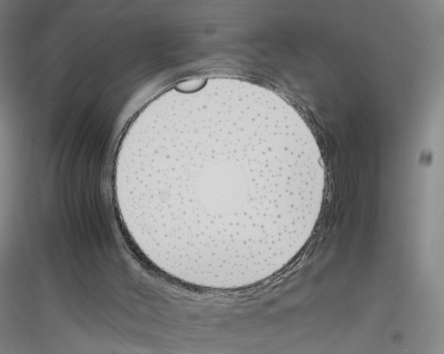 X0000116820004201001291632