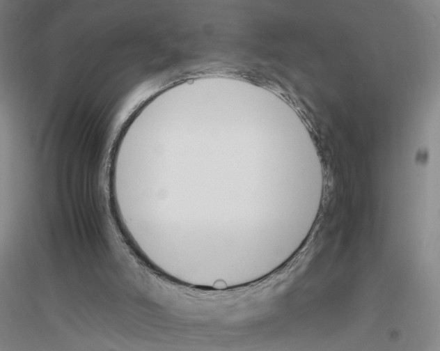 X0000116820006201001291632