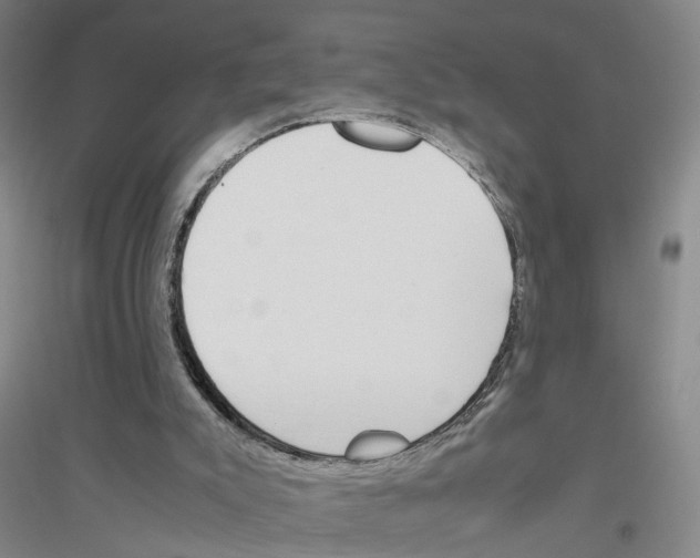 X0000116820007201001291632