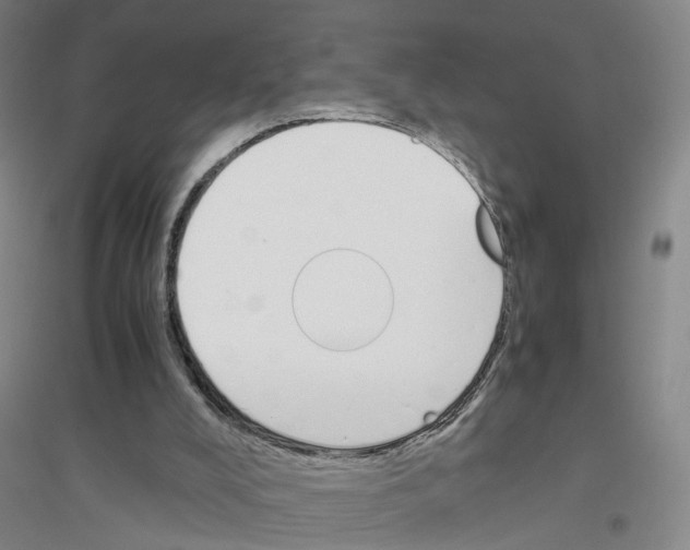 X0000116820008201001291632