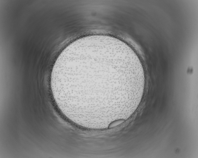 X0000116820009201001291632