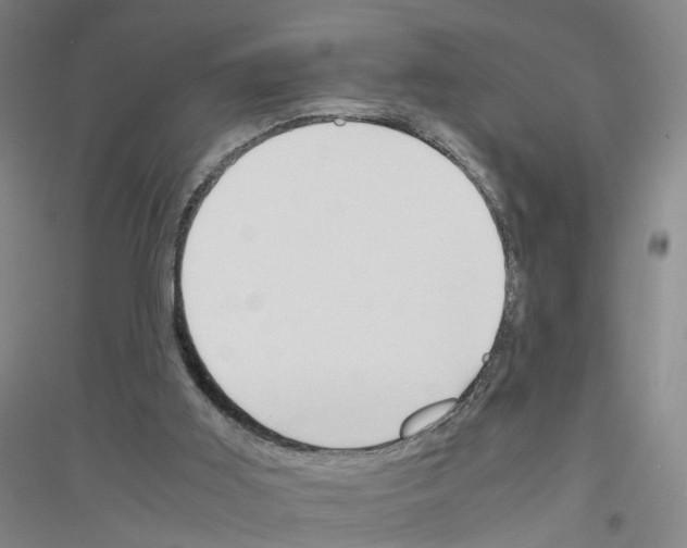 X0000116820011201001291632