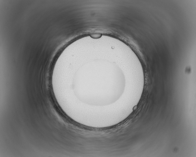 X0000116820012201001291632