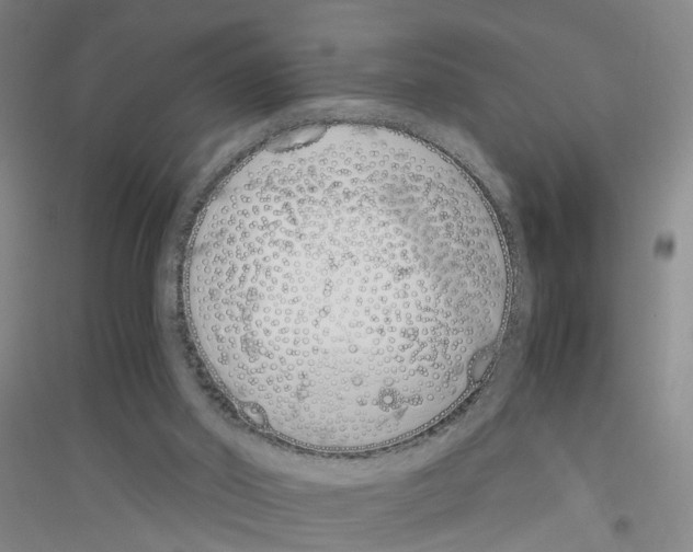 X0000116820014201001291632