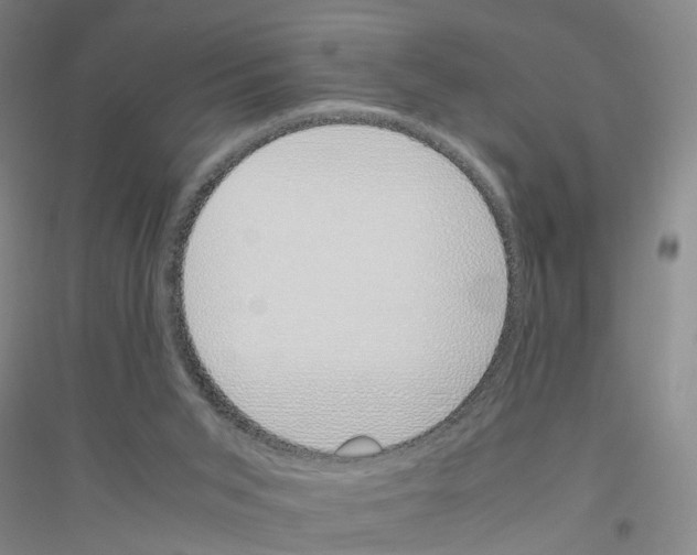 X0000116820015201001291632