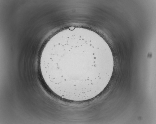 X0000116820016201001291632