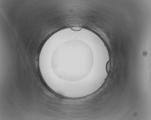 X0000116820017201001291632