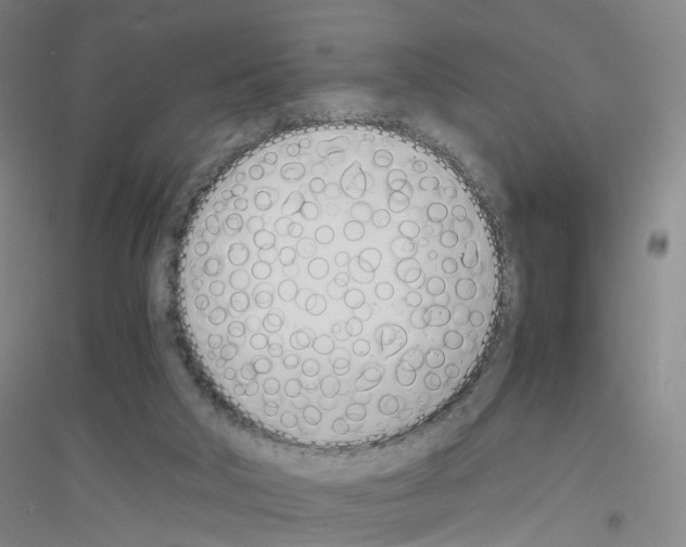 X0000116820018201001291632