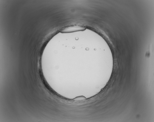 X0000116820019201001291631