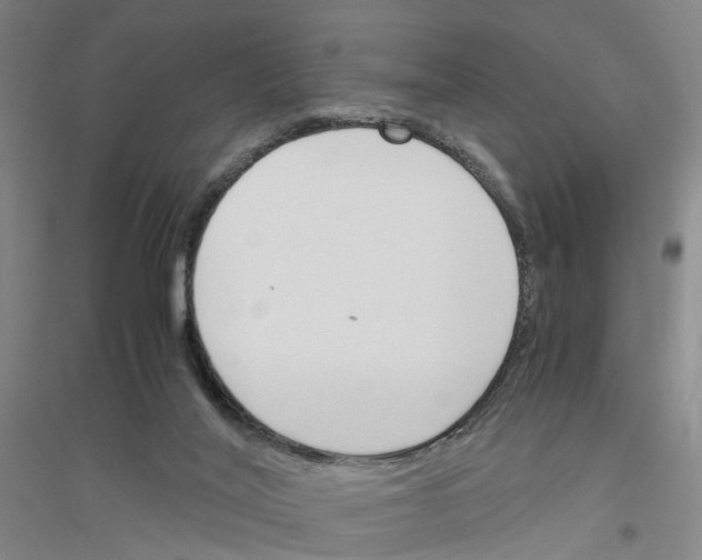 X0000116820020201001291631