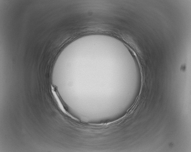 X0000116820021201001291631